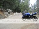 IMG_0999___2.jpg