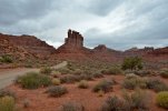 DSC_2330.jpg