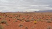 DSC_2315.jpg