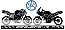 fz2012-1-2.jpg