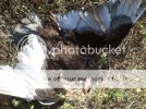 2012-03-13132952.jpg