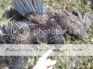 2012-03-13132936.jpg