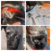 PXL_20250707_155423807-COLLAGE.webp