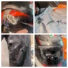 PXL_20250707_155423807-COLLAGE.webp PXL_20250707_155423807-COLLAGE.webp