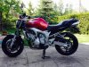 fz6.jpg fz6.jpg