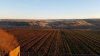 20180113_162309.jpg