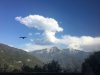 Bird.jpg