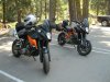 IMG-4591.jpg IMG-4591.jpg