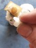 20220520_072944.jpg
