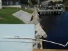 DSCN0613.JPG