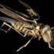 Black Hornet