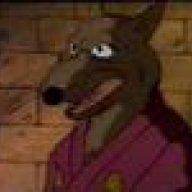 Rat