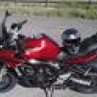 FZ6Monkey13