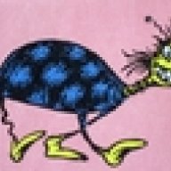 dmmcd