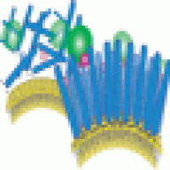 protein anchor