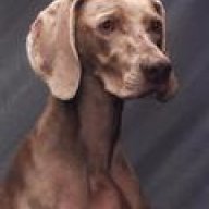Ghost Weim