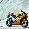 penguinbiker8