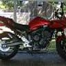 hunterfz6