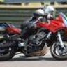 FZSnake6