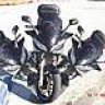 camaleonfazer