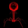 Raid The Revenge