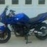 pacadermng67