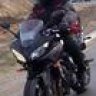 Hongo