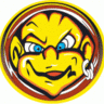 slowboyracing
