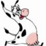 moo cow