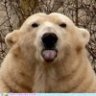 Floridianson