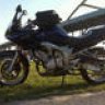 tum226