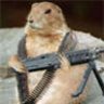 Gopher