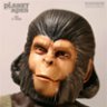 Superchimp