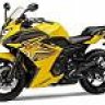 RZ350 Rider