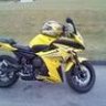 fz6r rider