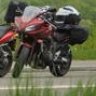 vikingking50