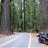 OrangevaleFJR