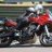 FZSnake6