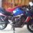 hapahaole