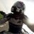 TheFemaleBiker