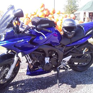 My FZ6