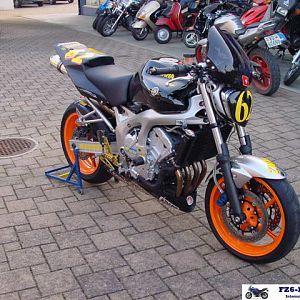 FZ6_Wale_06
