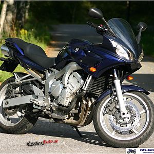 FZ6s