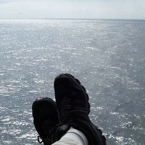 Relaxin