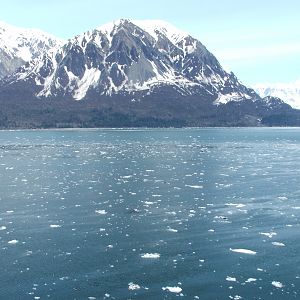 Hubbard Glacier
