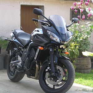 Picture_242