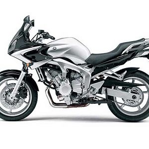 2004 FZ6