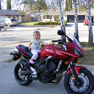 Travis' 2007 FZ6