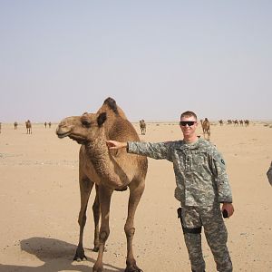 Hellgate Petting a Camel in Kuwait - 2006