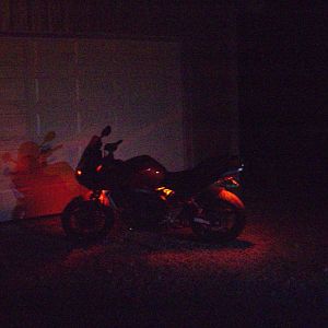 neons